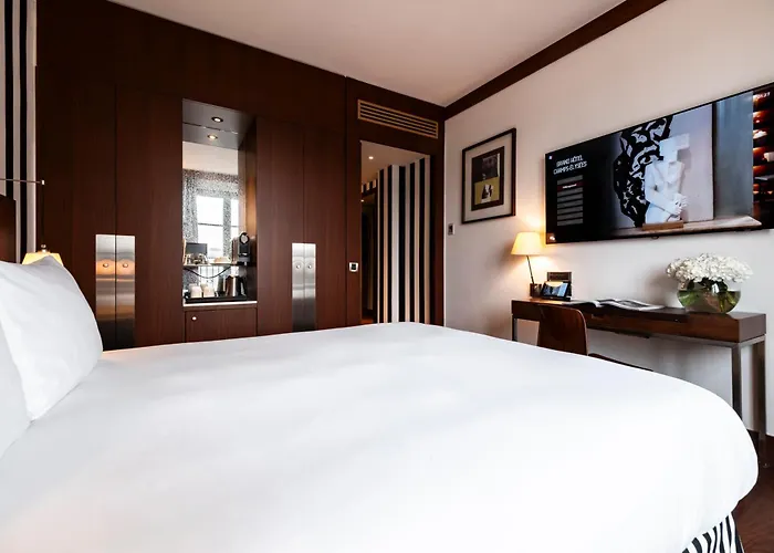 Grand Champs-elysees 酒店 巴黎